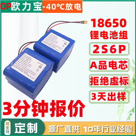18650-2S6P